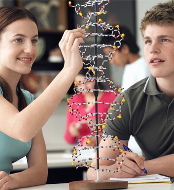 Im Naturwissenschaftlichen Schwerpunkt sind Fächer wie Mathe, Biologie, Chemie und Physik